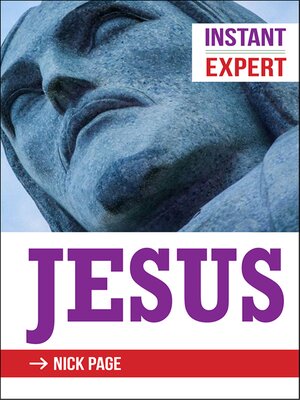 cover image of Instant Expert